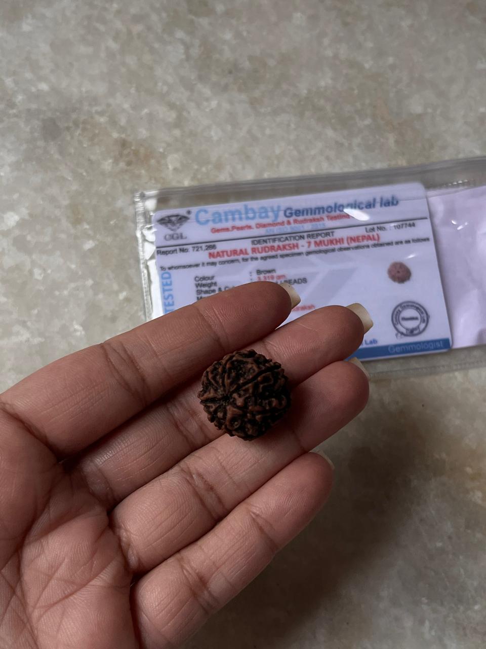 Natural Rudraksha mala bead from Nepal  