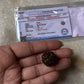 Natural genuine real Nepal Rudraksha bead  