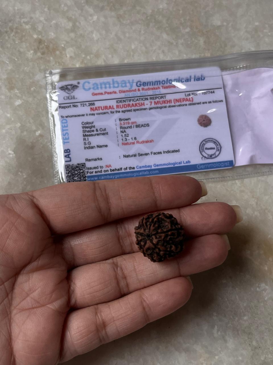 Natural genuine real Nepal Rudraksha bead  