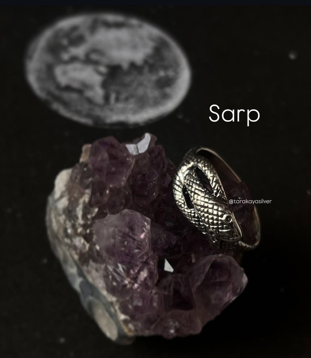 925 Silver Eternal Serpent Knot Ring - Timeless Snake Symbol Ring