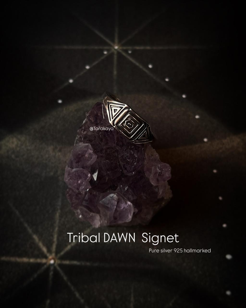 925 Silver Tribal Dawn Signet Ring with Unique Design