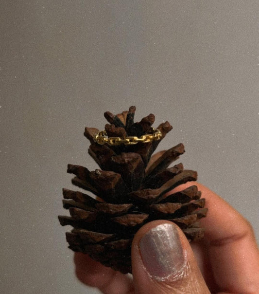 Gold vermeil thin link stack band ring atop a pinecone, showcasing its elegant design and durability.