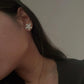Statement Star Fish Studs in 925 Silver