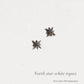 White topaz mini North Star 925 silver studs  