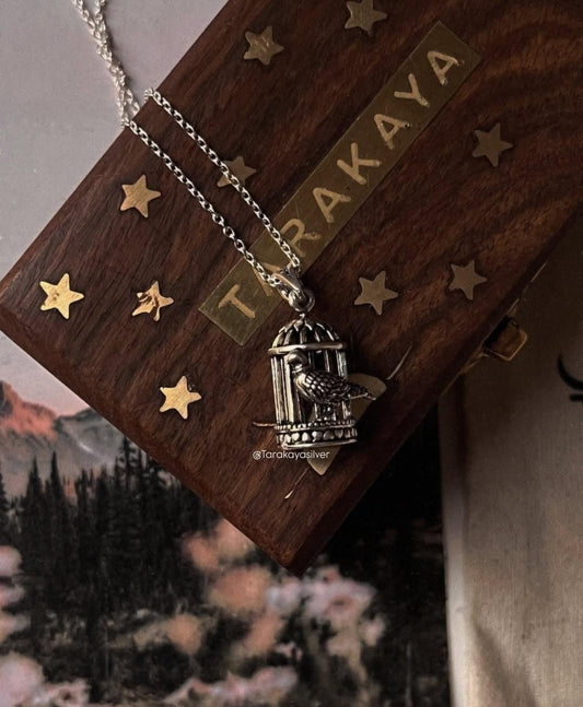 3D silver pendant of a pigeon in a cage, resting on a gift box with stars, ideal for unique gifts and special occasions.