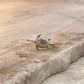Tortoise 2 925 Sterling Silver Ring