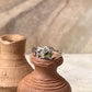 Peridot Forest 925 Sterling Silver Ring