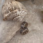 Ethnic toe ring with rawa granule work in silver  