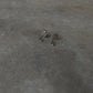 White Topaz Minimal Tiny Studs 925 Sterling Silver Earrings