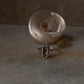 Cowrie Seashell 925 Sterling Silver Ring