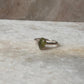 Peridot Raw Uncut Dot Band 925 Sterling Silver Ring