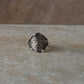 Ocean Shell Texture 925 Sterling Silver Ring