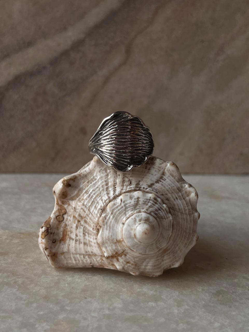 Ocean Shell Texture 925 Sterling Silver Ring