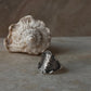 Ocean Shell Texture 925 Sterling Silver Ring