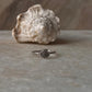 Shell 925 Sterling Silver Ring