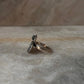 Divine Lotus Moonstone 925 Sterling Silver Ring
