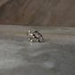Willow Leafy Fixed 925 Sterling Silver Silver Ring