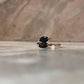 Black Onyx Marquise Double Stone Cut 925 Sterling Silver Ring