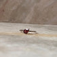 Garnet Pear Cut Solitaire 925 Sterling Silver Ring