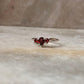 Garnet 3 Stone - Pear & Round Cut 925 Sterling Silver Ring