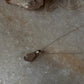 Rose Quartz Raw Uncut 925 Sterling Silver Pendant
