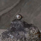Bohemian style freshwater pearl 925 silver ring handcrafted